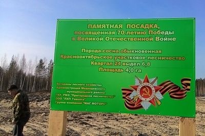 Лес Победы